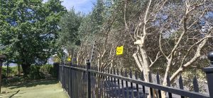 Electric fence installation Paarl project 2